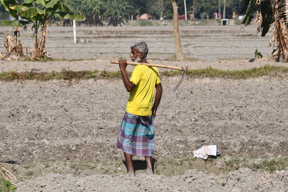 Free stock photo of farmer