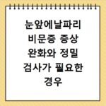 눈앞에날파리 비문증 증상 완화와 정밀 검사가 필요한 경우
