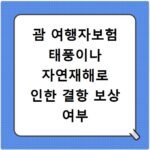 괌 여행자보험 태풍이나 자연재해로 인한 결항 보상 여부 확인