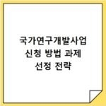 국가연구개발사업 신청 방법 과제 선정 전략