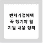 벤처기업혜택 꼭 챙겨야 할 지원 내용 정리
