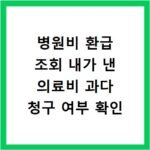 병원비 환급 조회 내가 낸 의료비 과다 청구 여부 확인