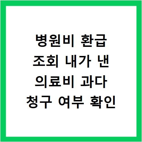 병원비 환급 조회 내가 낸 의료비 과다 청구 여부 확인
