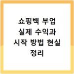쇼핑백 부업 실제 수익과 시작 방법 현실 정리