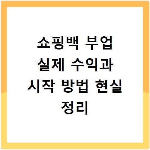 쇼핑백 부업 실제 수익과 시작 방법 현실 정리
