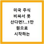 미국 주식 비싸서 못 산다면?…1만 원으로 시작하는 ETF 투자