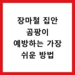 장마철 집안 곰팡이 예방하는 가장 쉬운 방법