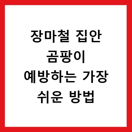 장마철 집안 곰팡이 예방하는 가장 쉬운 방법