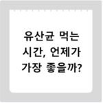 유산균 먹는 시간, 언제가 가장 좋을까?