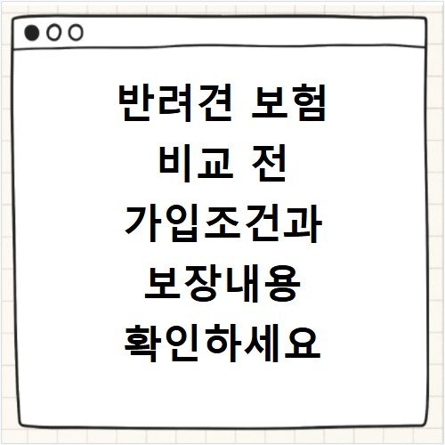 반려견 보험 비교 전 가입조건과 보장내용 확인하세요