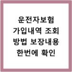 운전자보험 가입내역 조회 방법 보장내용 한번에 확인