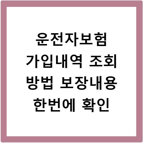 운전자보험 가입내역 조회 방법 보장내용 한번에 확인