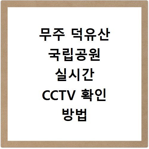 무주 덕유산 국립공원 실시간 CCTV 확인 방법