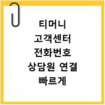 티머니 고객센터 전화번호 상담원 연결 빠르게 하는 방법