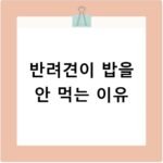 반려견이 밥을 안 먹는 이유